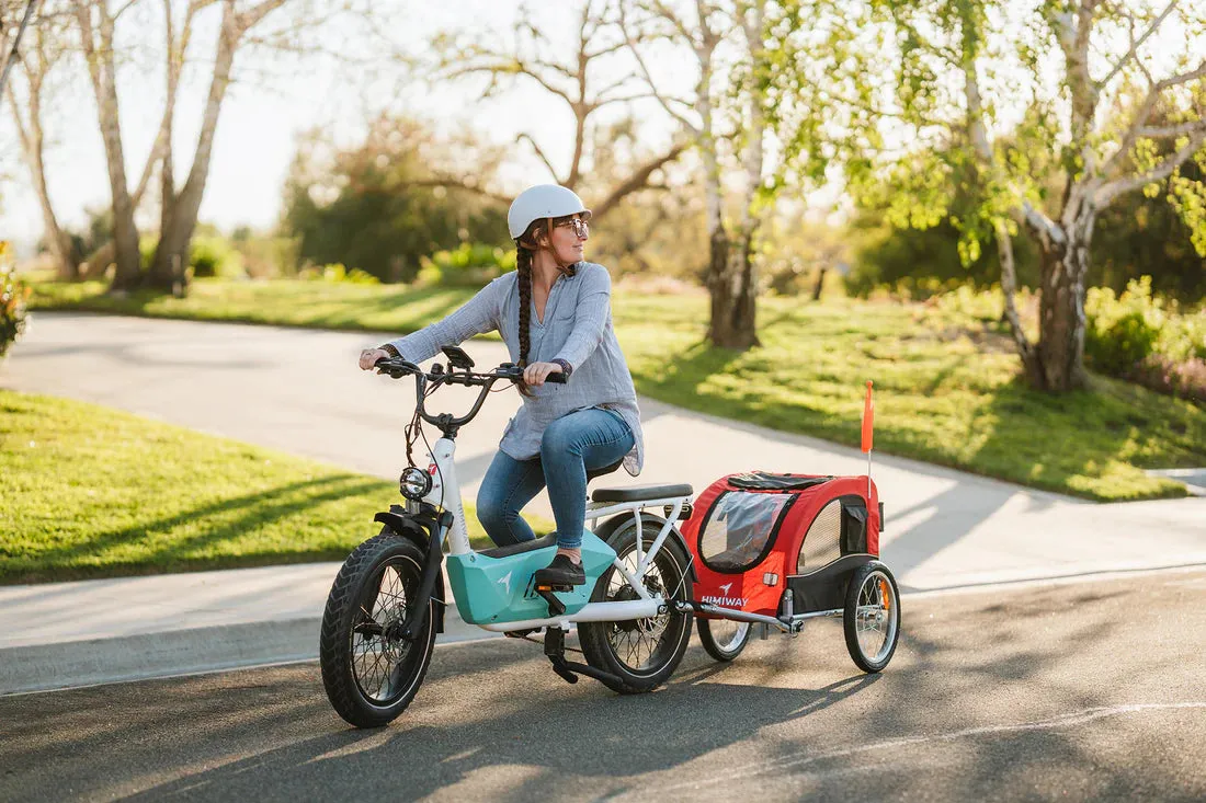 Himiway 750W 48V C3 Cargo Electric Bike