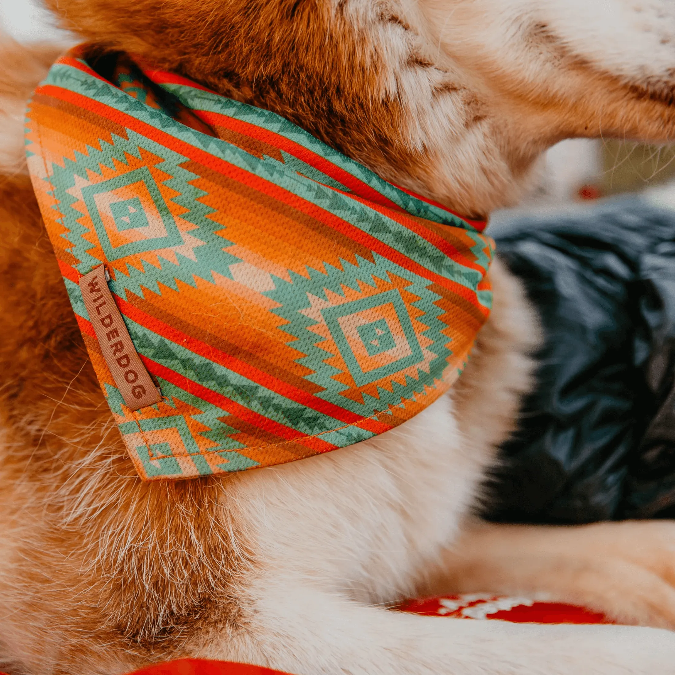 Sonora Cooling Bandana