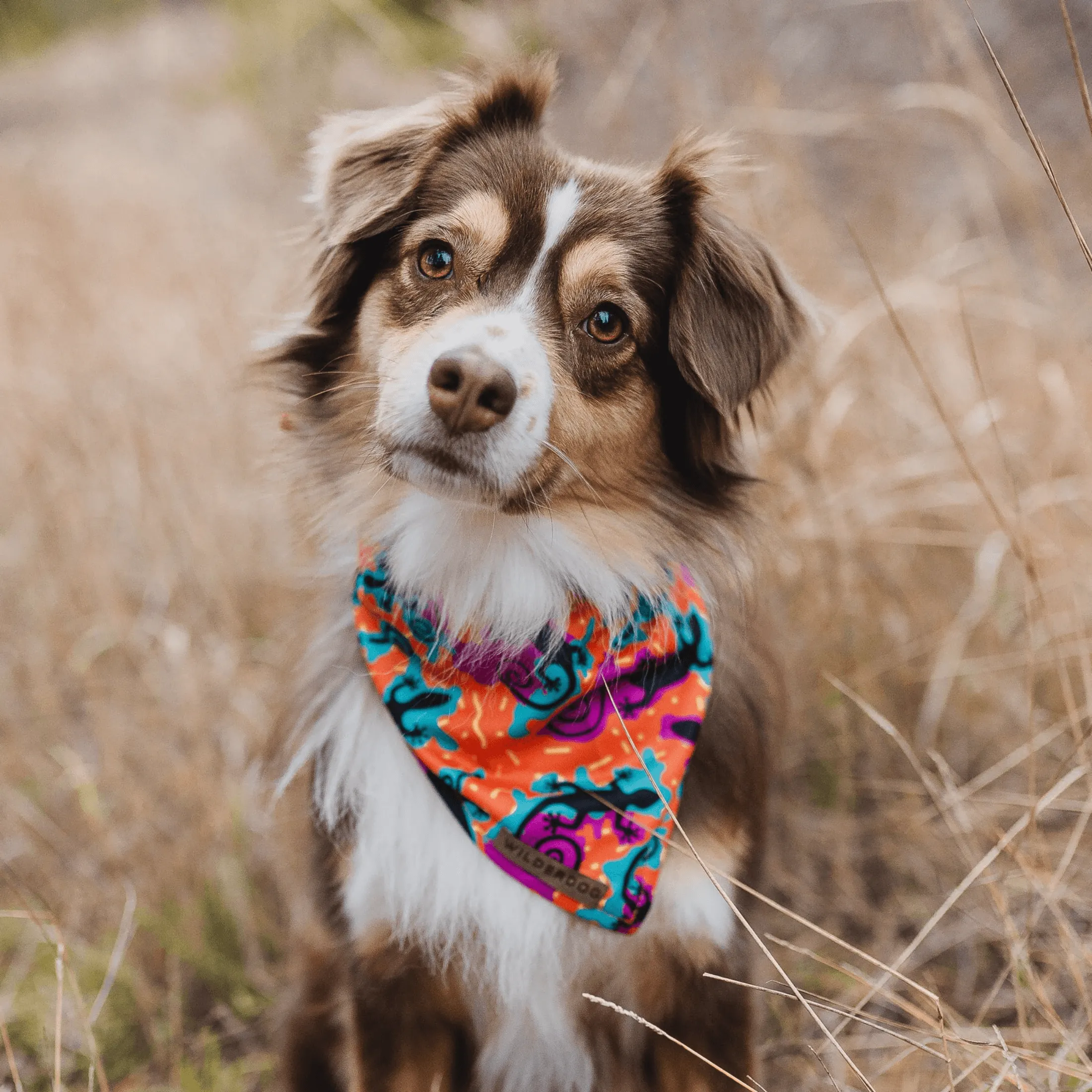 The Lizards Cooling Bandana